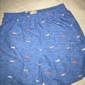PFG shorts, size small. Blue with fish print